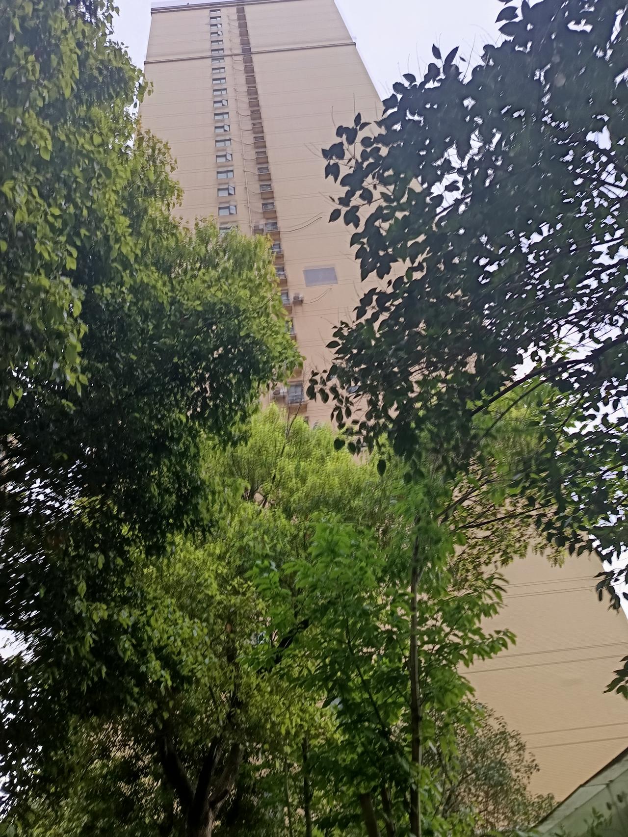 昨天我看了以前很久写的一篇文章，读起来也比较顺口，我读完之后我还不相信这是我写的