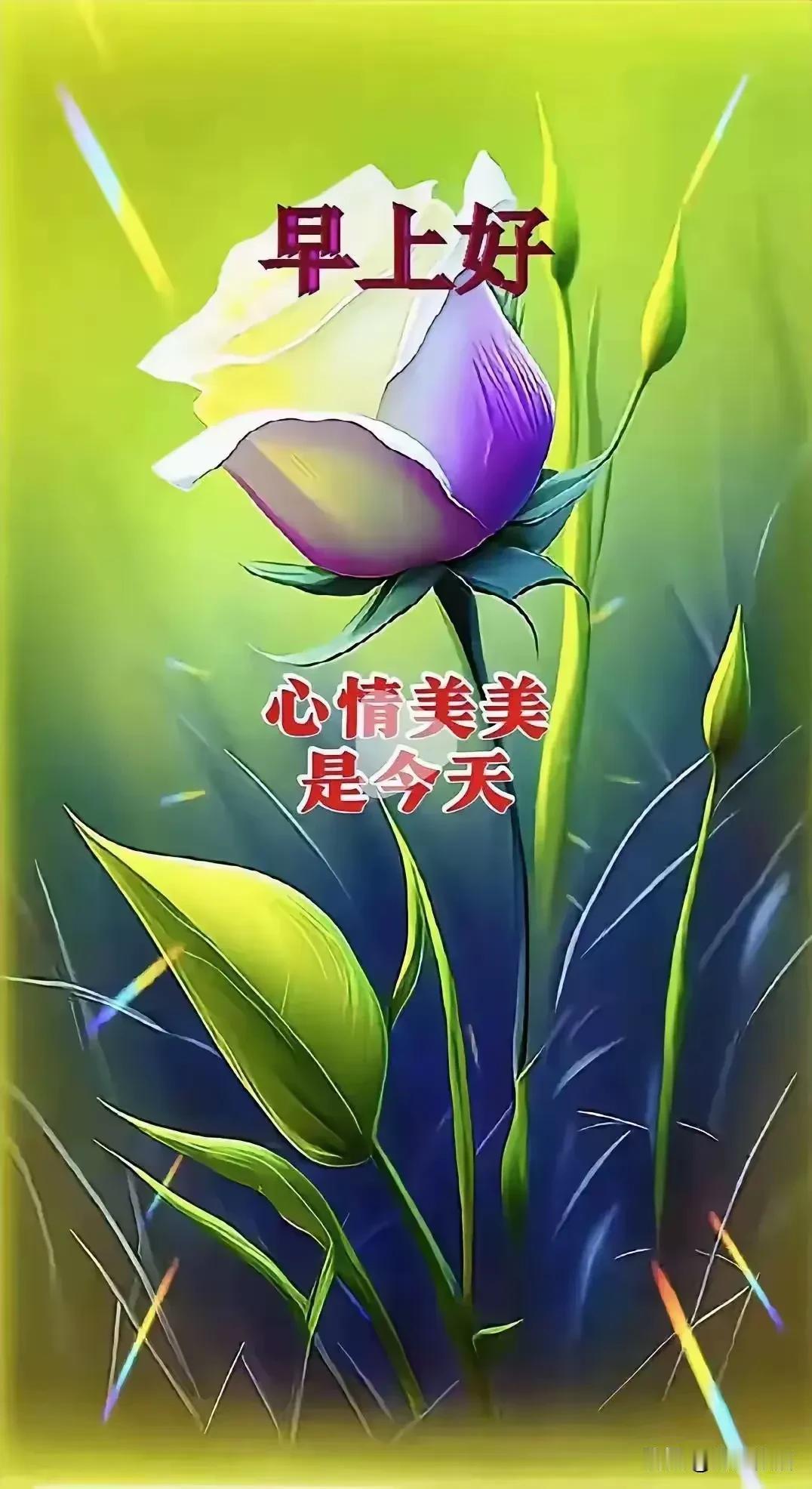《鹧鸪天·晨寄》

问好携来晓色柔，
平生惟愿得安休。
知足悟得流年智，
牵挂深