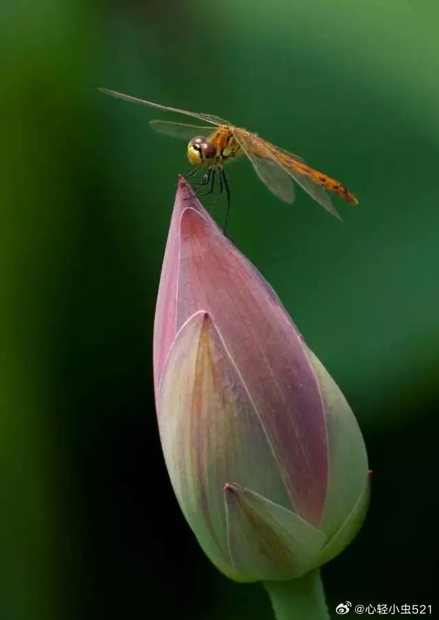 曾仕强：从现在开始，尽量减少负面的思想，老天从不委屈任何人，把所有的事情都当成好