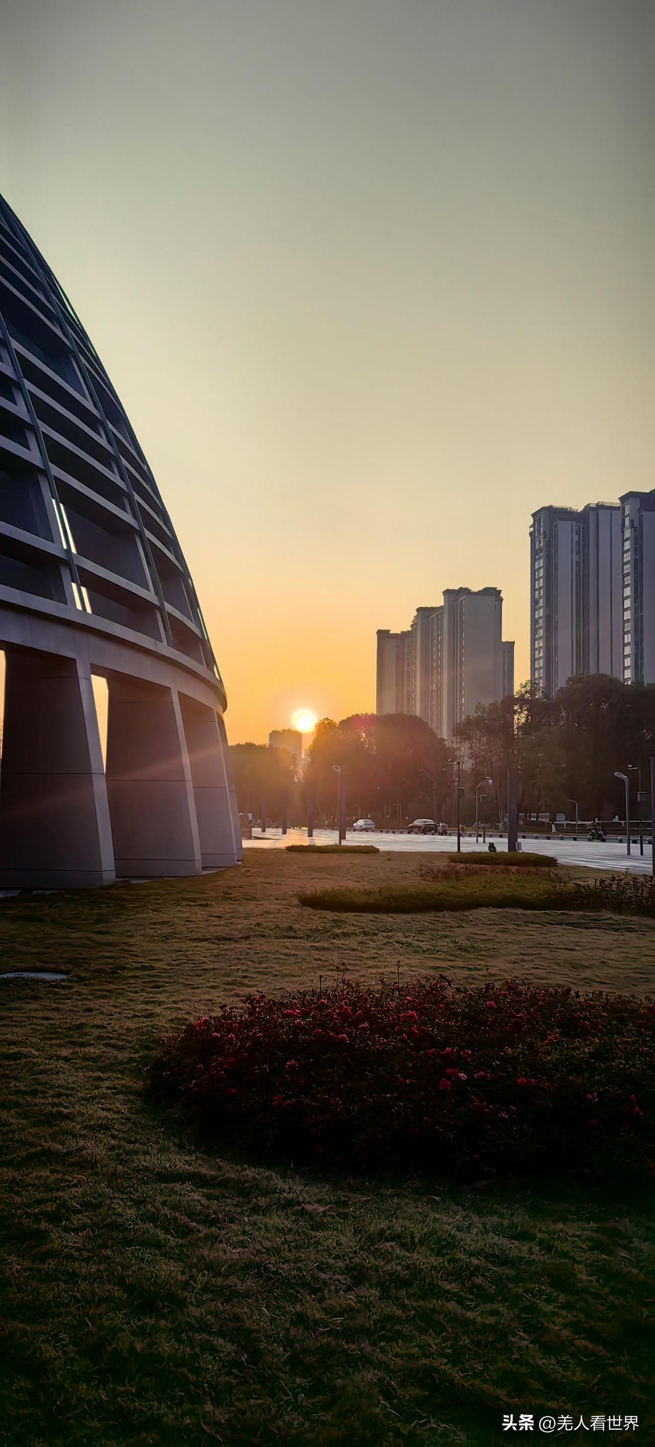 日出
铺开崭新光景
暖着脚下每一寸土地
目光所及
皆是温柔启程
前路或许有晴有雾
