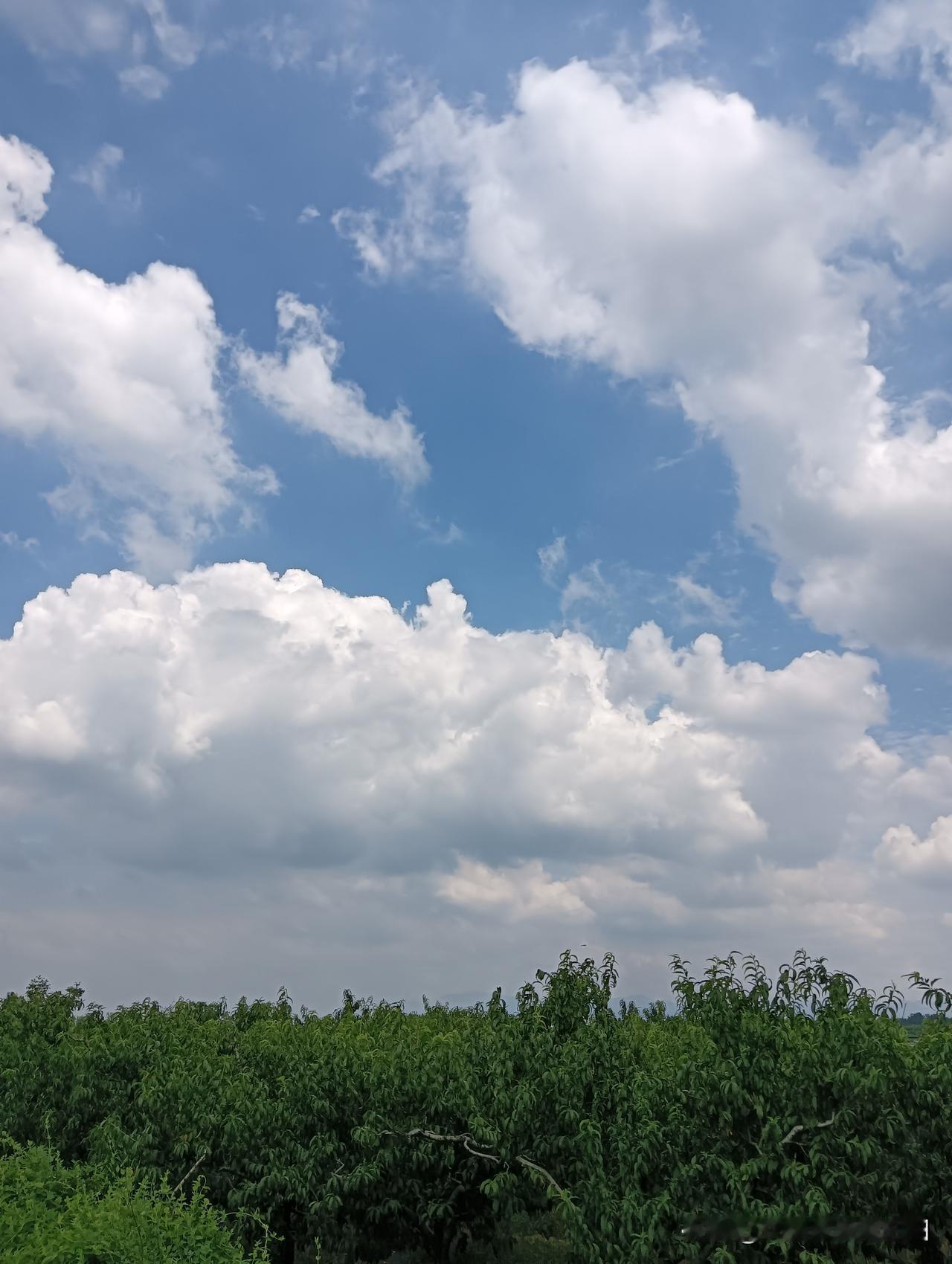 晒图笔记大赛☁️云淡风轻，太美了吧！