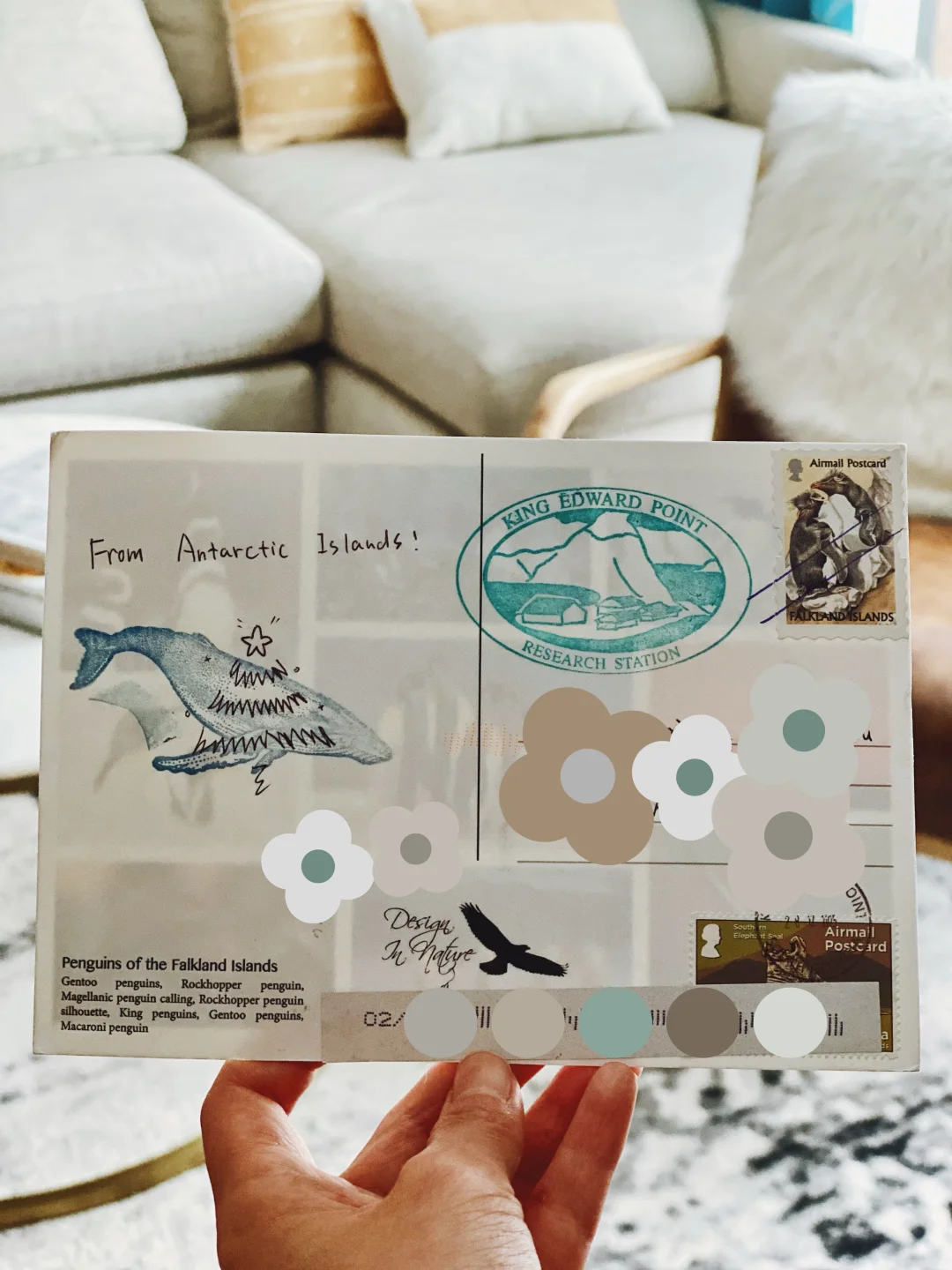 收到朋友从南极科考站寄来的明信片啦🐧❤