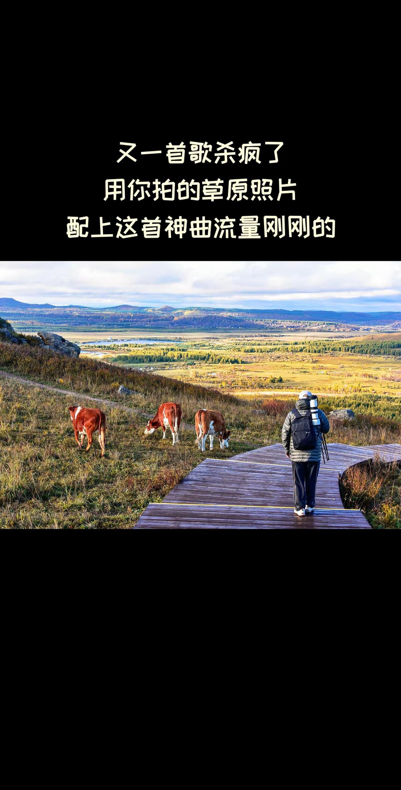 又一首杀疯的歌曲来了，需要你的草原照片。音乐种草计划 坝上草原