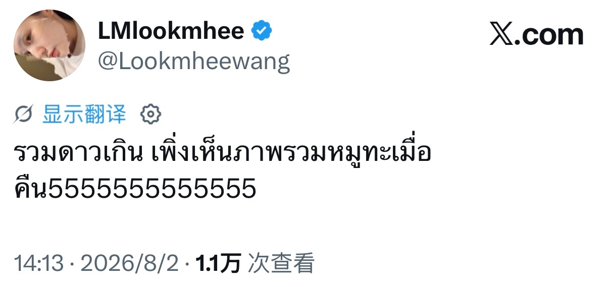 🐨：也太群星荟萃了吧，刚刚才看到昨晚烤肉聚餐的全景图哈哈哈哈哈哈 