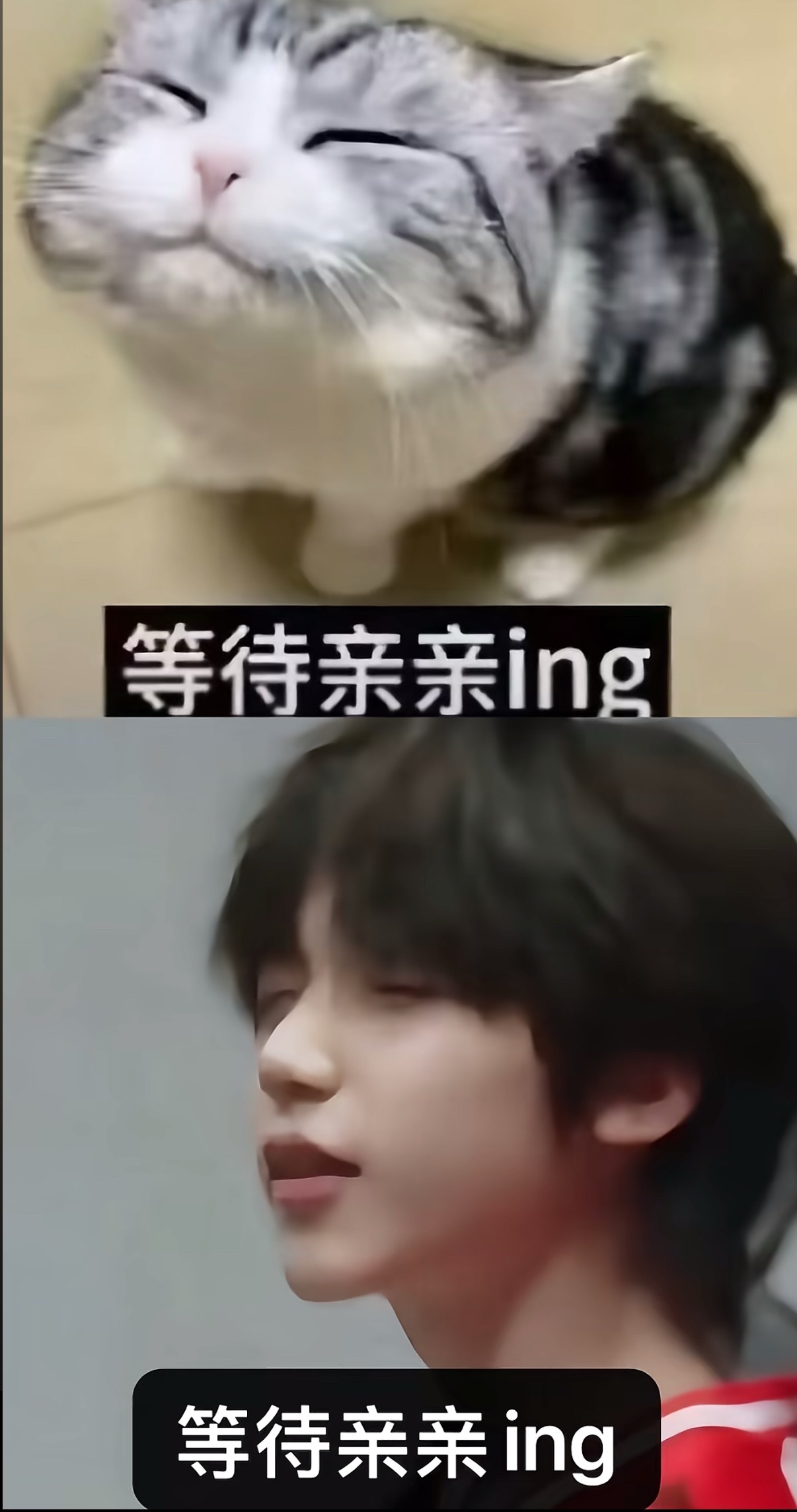 不亲爪爪她会哭的呀 ​​​