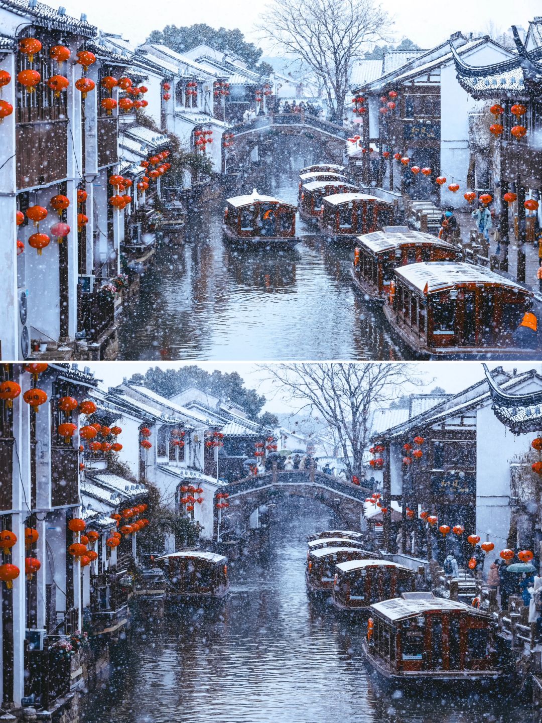 什么⁉️苏州本周末即将迎来2024第一场雪❄️⁉️