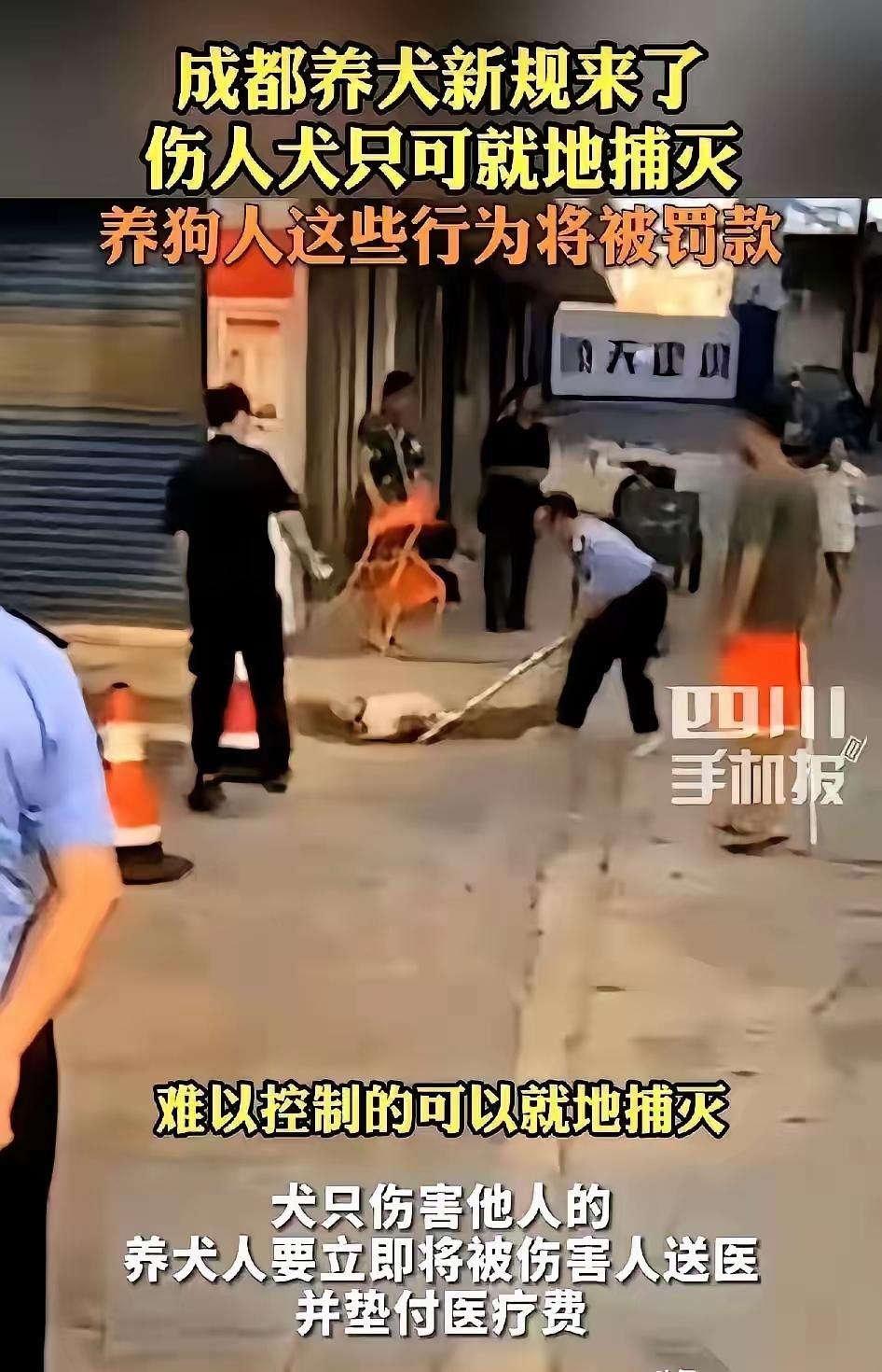 成都养犬新规彻底颠覆认知！养狗再也不是随心所欲
 
成都刚落地的养犬新规，真的戳