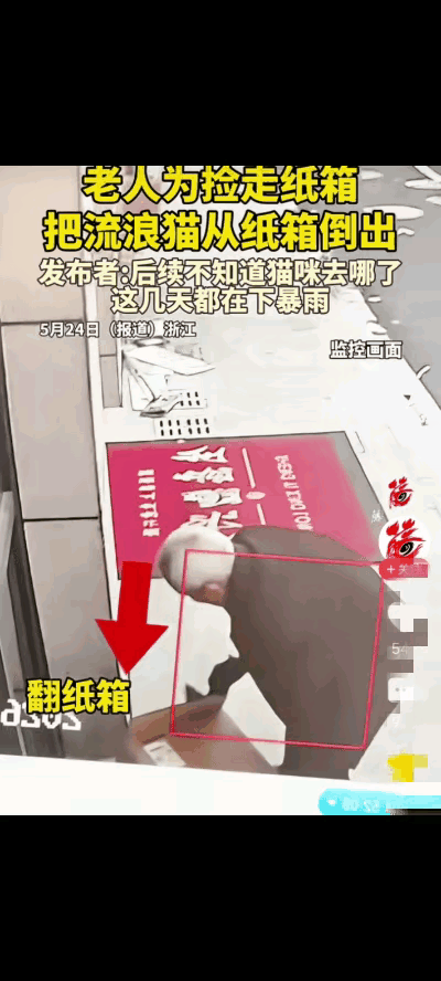 老人看到店铺门口有个纸箱，他想捡回去卖钱，不料，纸箱里流浪猫受到惊吓突然冒头，老