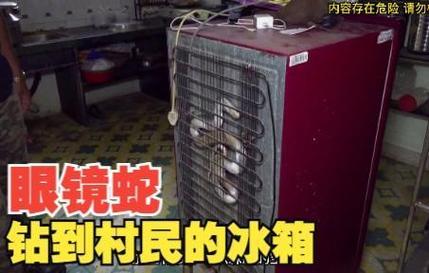 看一下蛇是怎样钻进冰箱的，杭州一户人家的冰箱二年钻进三条蛇！
蛇进冰箱，核心就三