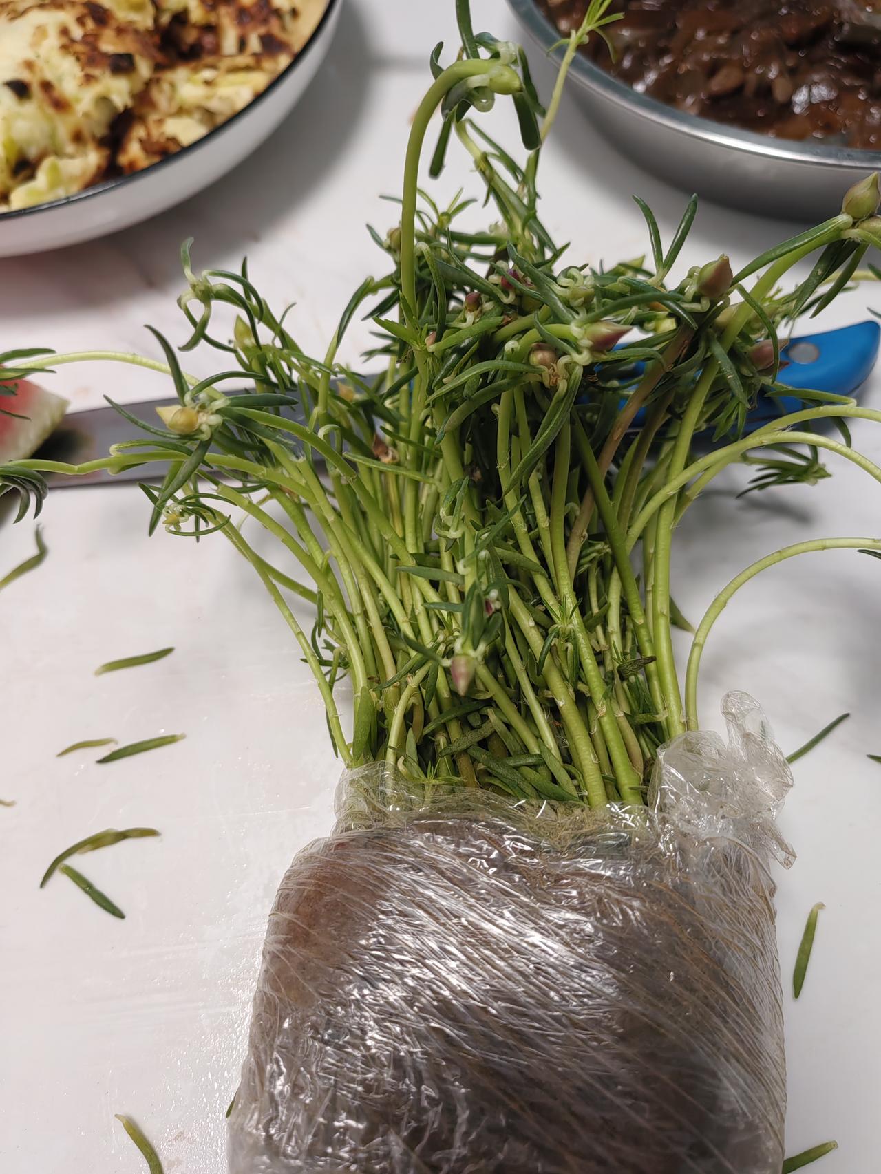 因为把书打湿，一天情绪都不高。
    午饭，因为有昨晚买的大饼，昨天中午焖的米