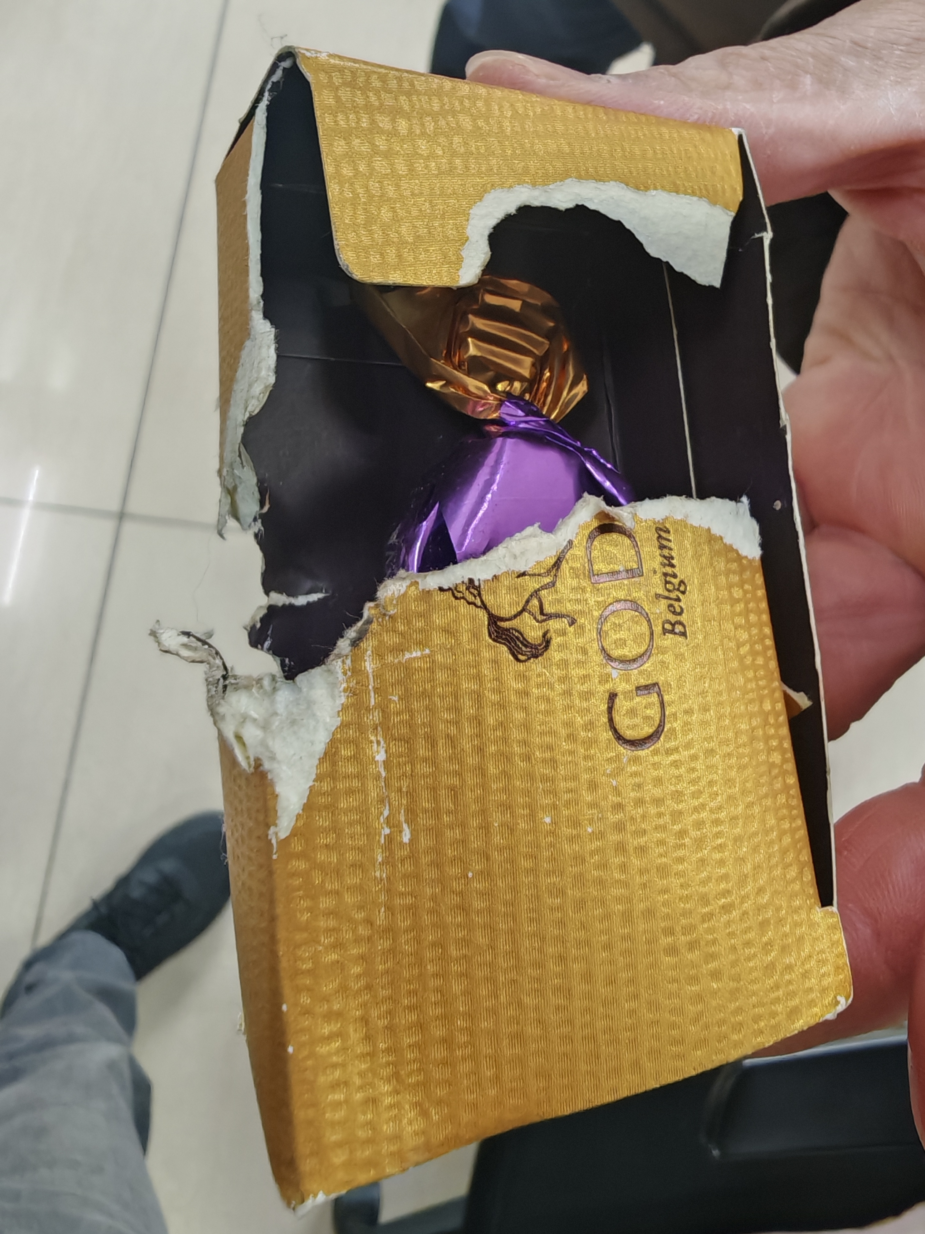 你们见过黄鼠狼跑到2楼室内爬上桌子叼走一盒巧克力并且撕开包装咬了一个吗早上没想那