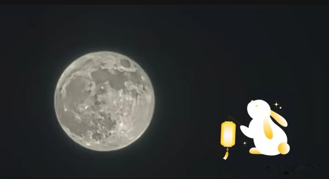 #一句诗记录秋日生活#
《清平乐·秋夜》
夜凉如水，明月微黄矣。云影悄移星已睡，