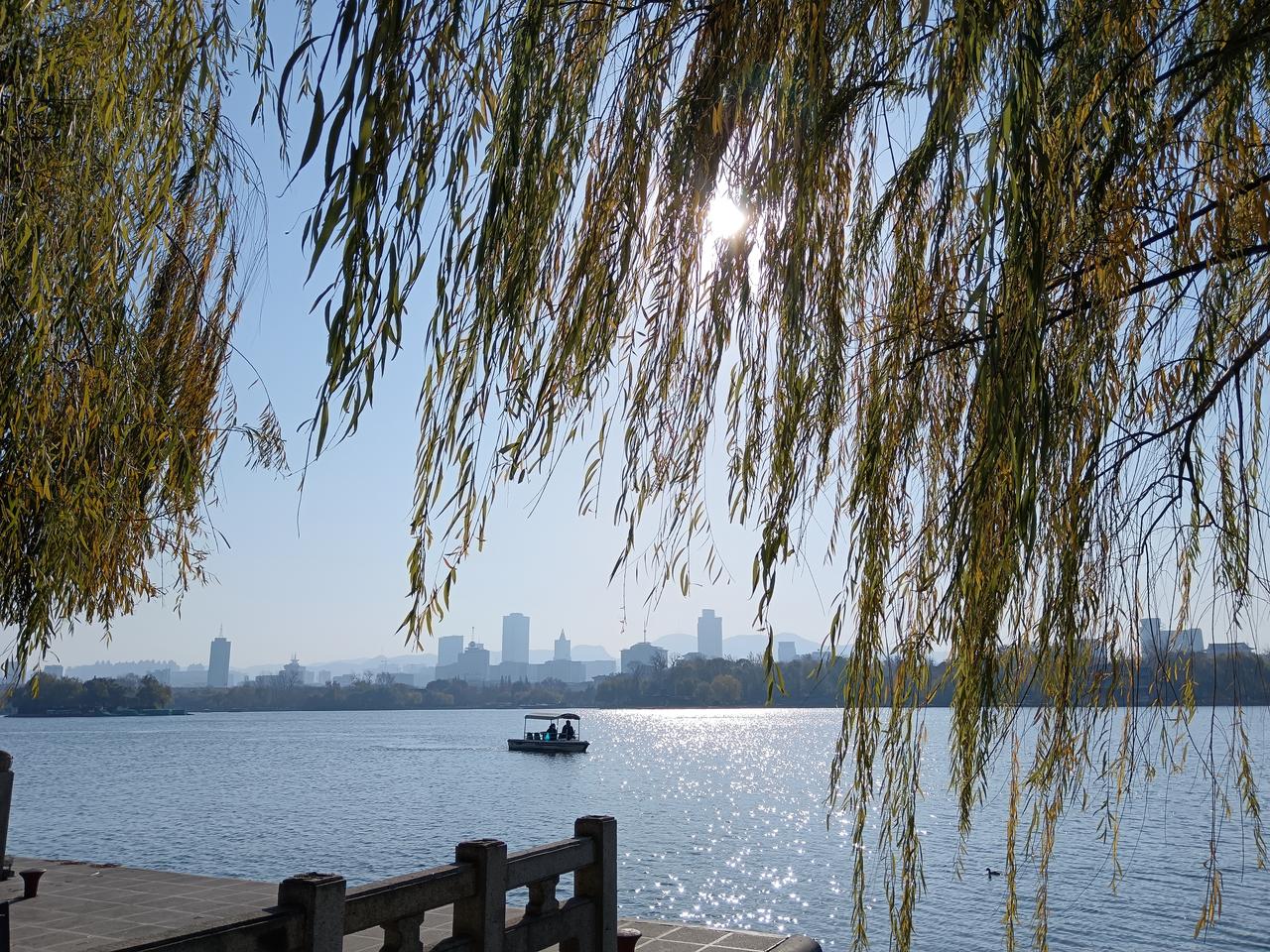 又是一年清明时，
风软了，柳绿了，
连空气里都飘着青草与青团的香气。