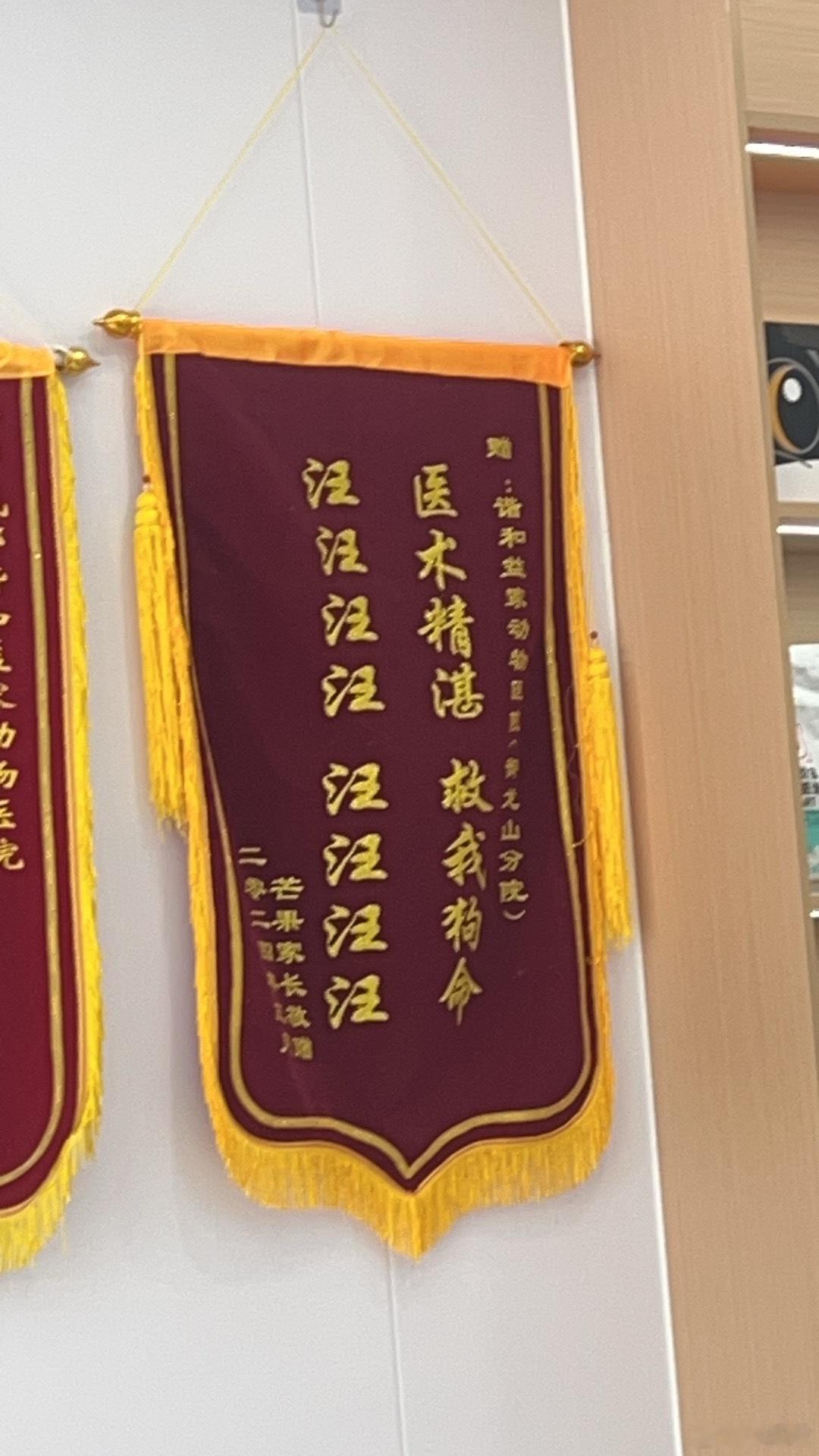 这是患者本人送来的吗？[二哈][二哈][二哈]#麦门的风还是吹到了时尚圈# ​​