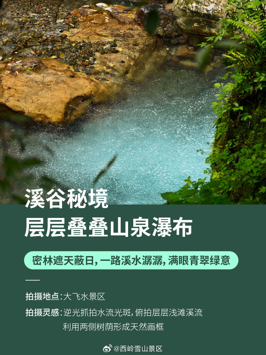 成都避暑天花板✨23℃西岭雪山夏日拍照合集📸谁懂啊🥵成都持续高温！找到了1h