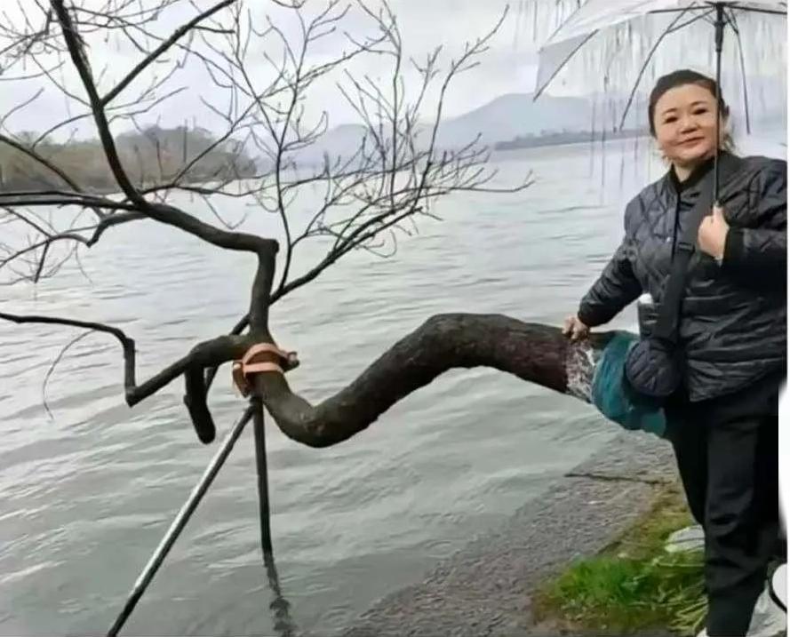 网友:
我媳妇因为我拍的照片想跟我离婚，至于吗？[what]