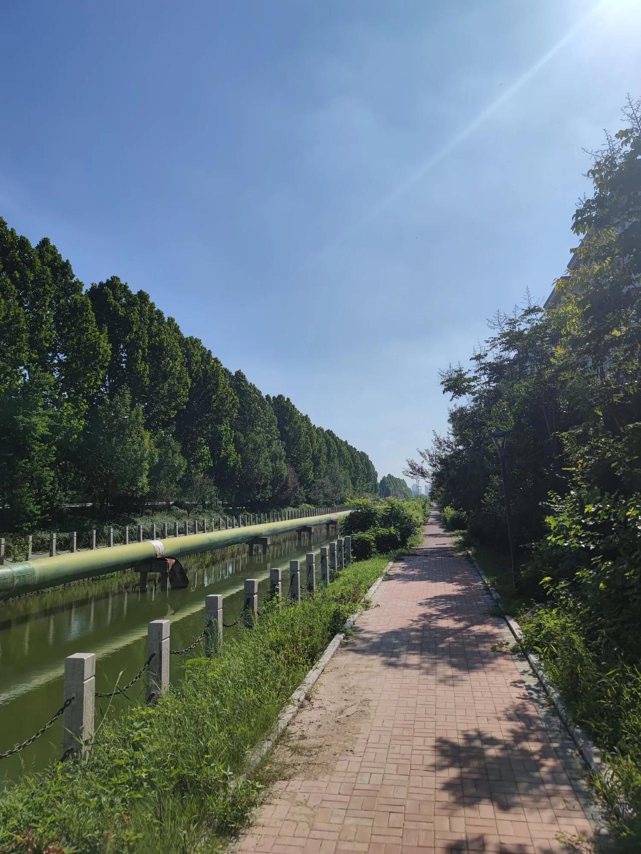 夏日生活打卡季夏日休闲的好地方。