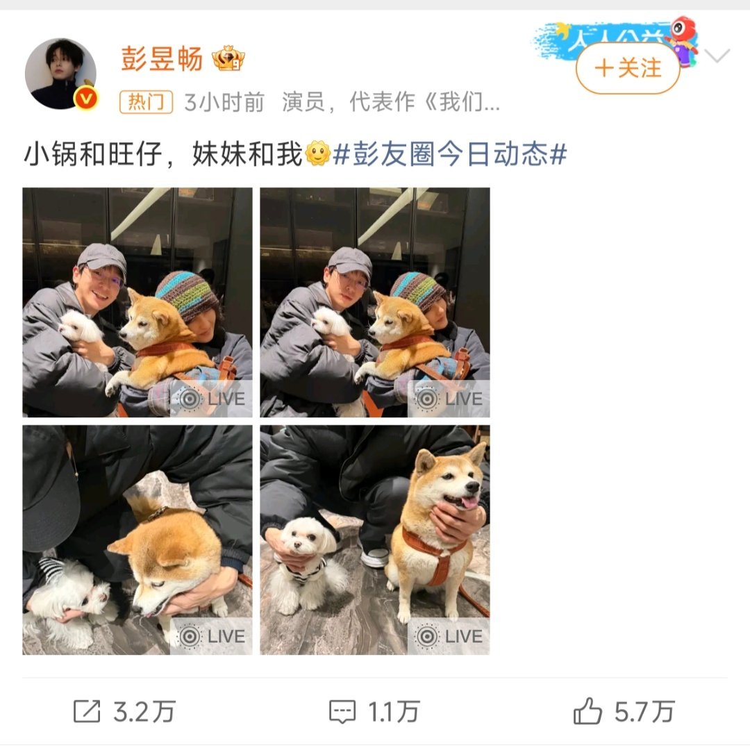 彭昱畅张子枫合照 彭昱畅在微博发布居家合照，与张子枫及宠物狗同框，配文“小锅和旺