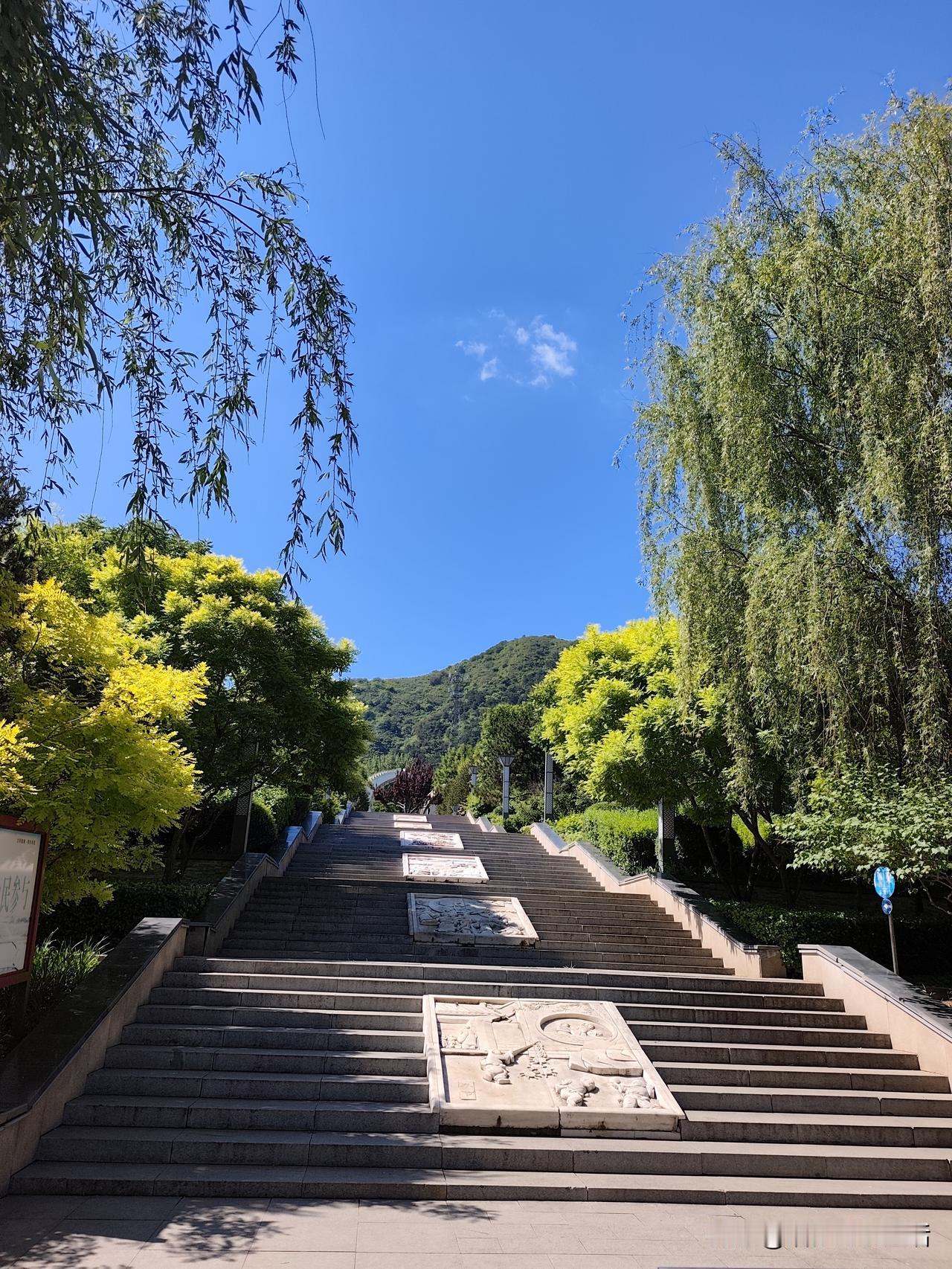 今天不去西山公园
抽空转转东山公园

公园内
雨后初晴，碧空如洗
绿树成荫，栗花