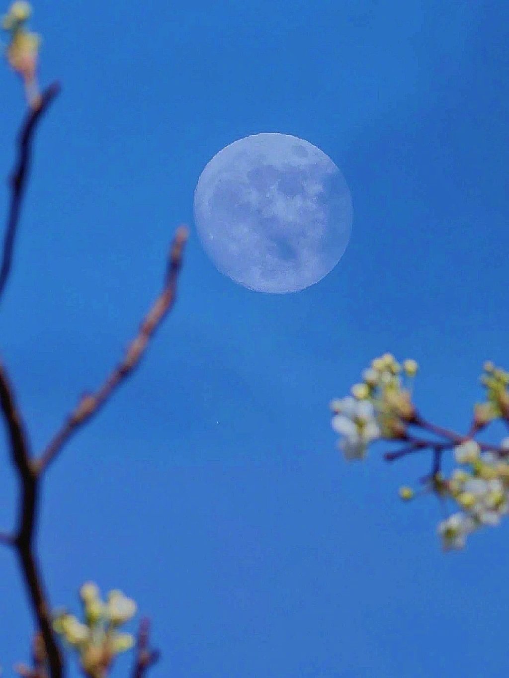 接你的6月好运 ​​​
