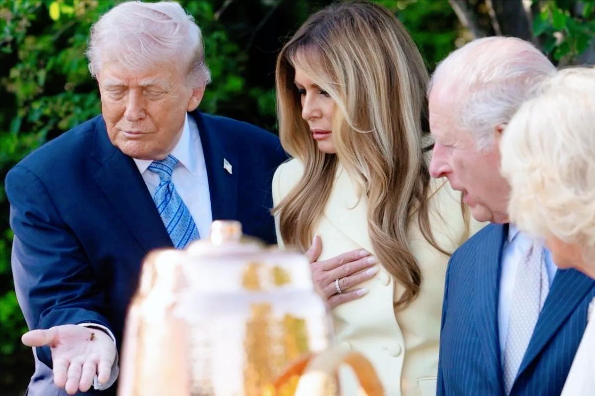 特朗普真是太热情了，赤手空拳抓了一只蜜蜂给查尔斯国王观看，这不经意的一手倒把特朗