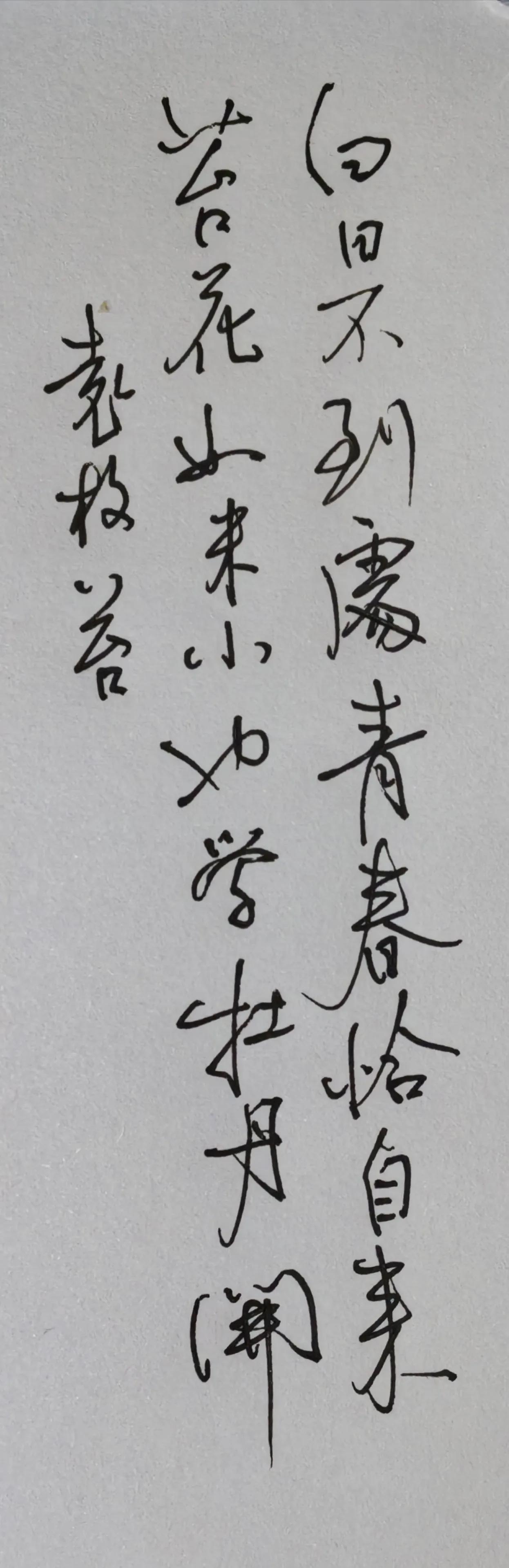 白日不到处，青春恰自来。
苔花如米小，也学牡丹开。
袁枚苔
诗意：阳光照不到的幽
