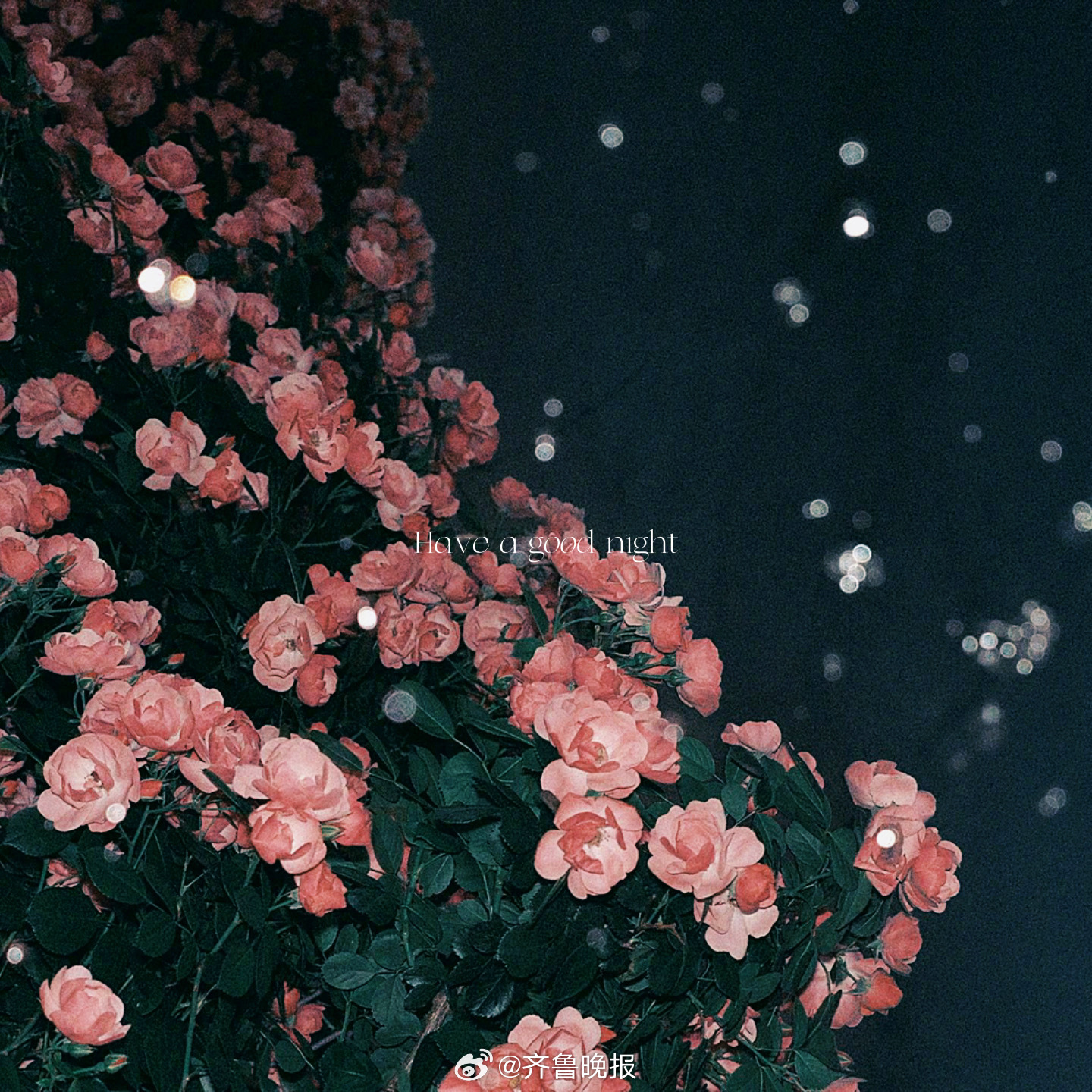 真正的强大是敢于重新开始#晚安#