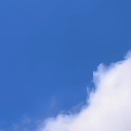 每日一善 🌸每日一善 🌸阳光信用 🌸路是自己选择的，不论前方如何，生活在什