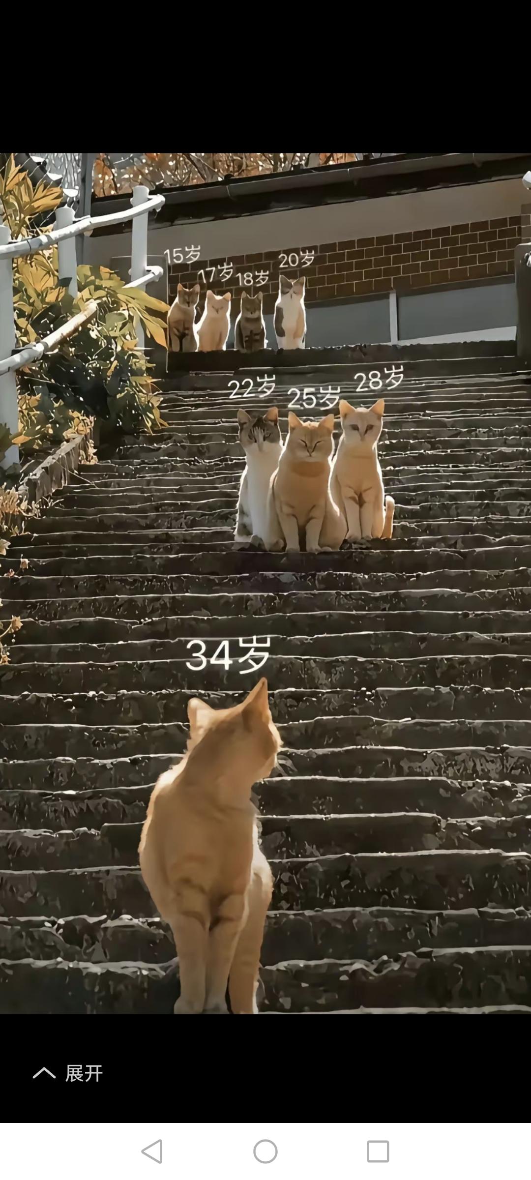 默然回首才发现不知不觉人生早已过半，