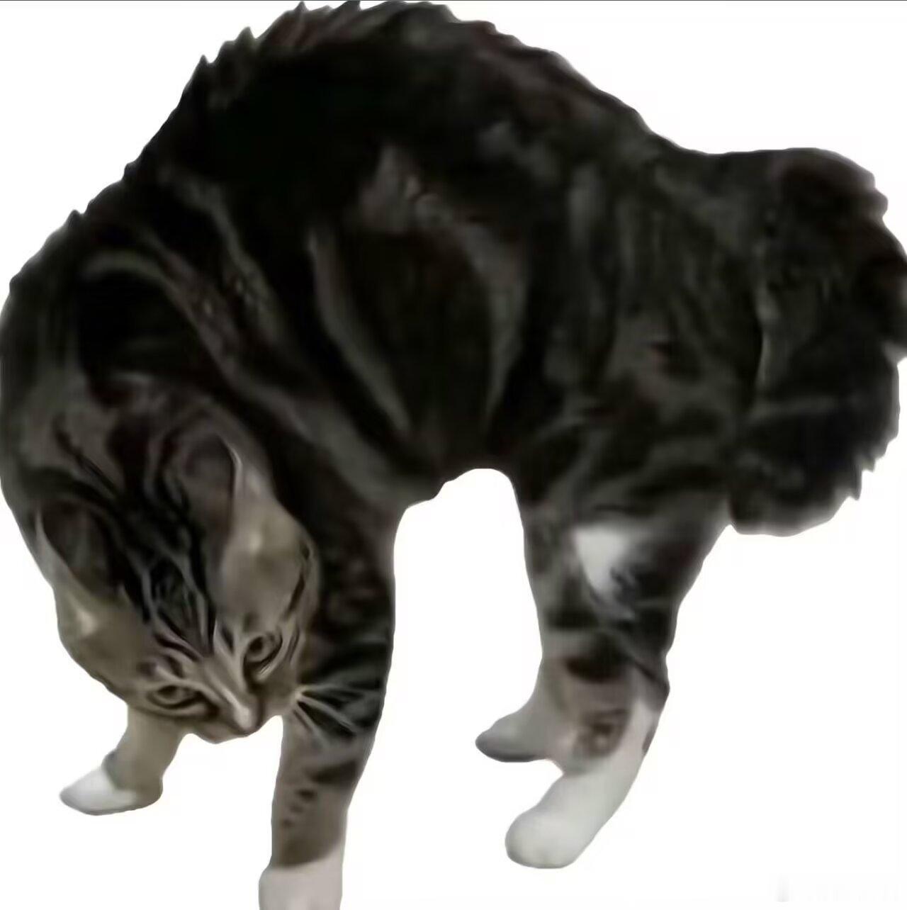 老吴！你个你个你个你个你个你个你个你个你个你个！！！！！ 