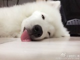魏斌热聊体育