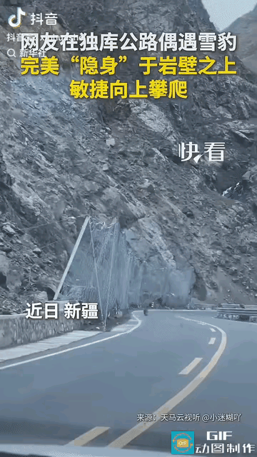 “上新华社了!” 新疆，一对男女驾车行驶在独库公路icon上，副驾女子不经意抬头