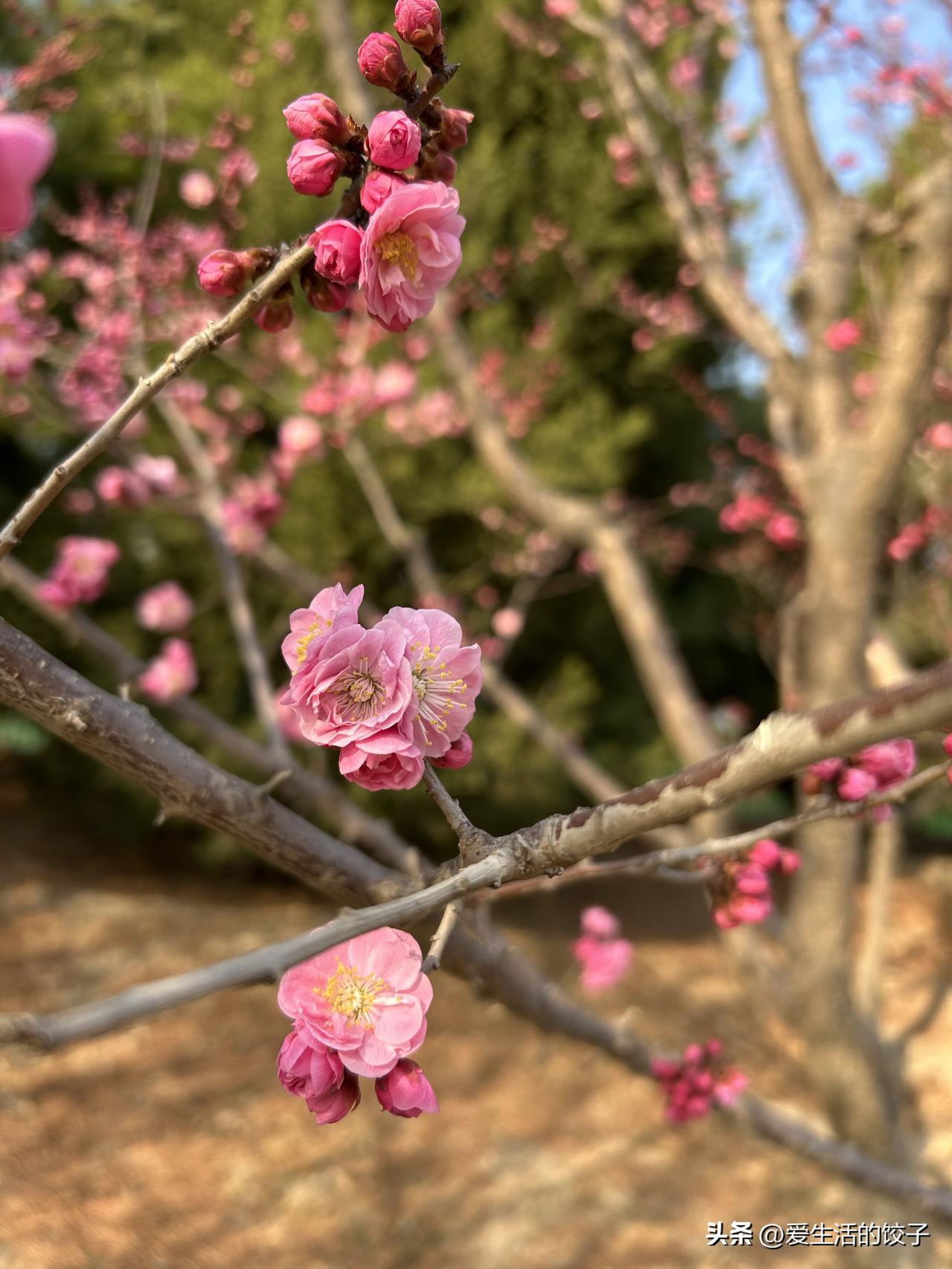 1. 早安，愿清晨的微风，带走所有疲惫。

2. 新的一天，平安顺遂，万事皆甜。