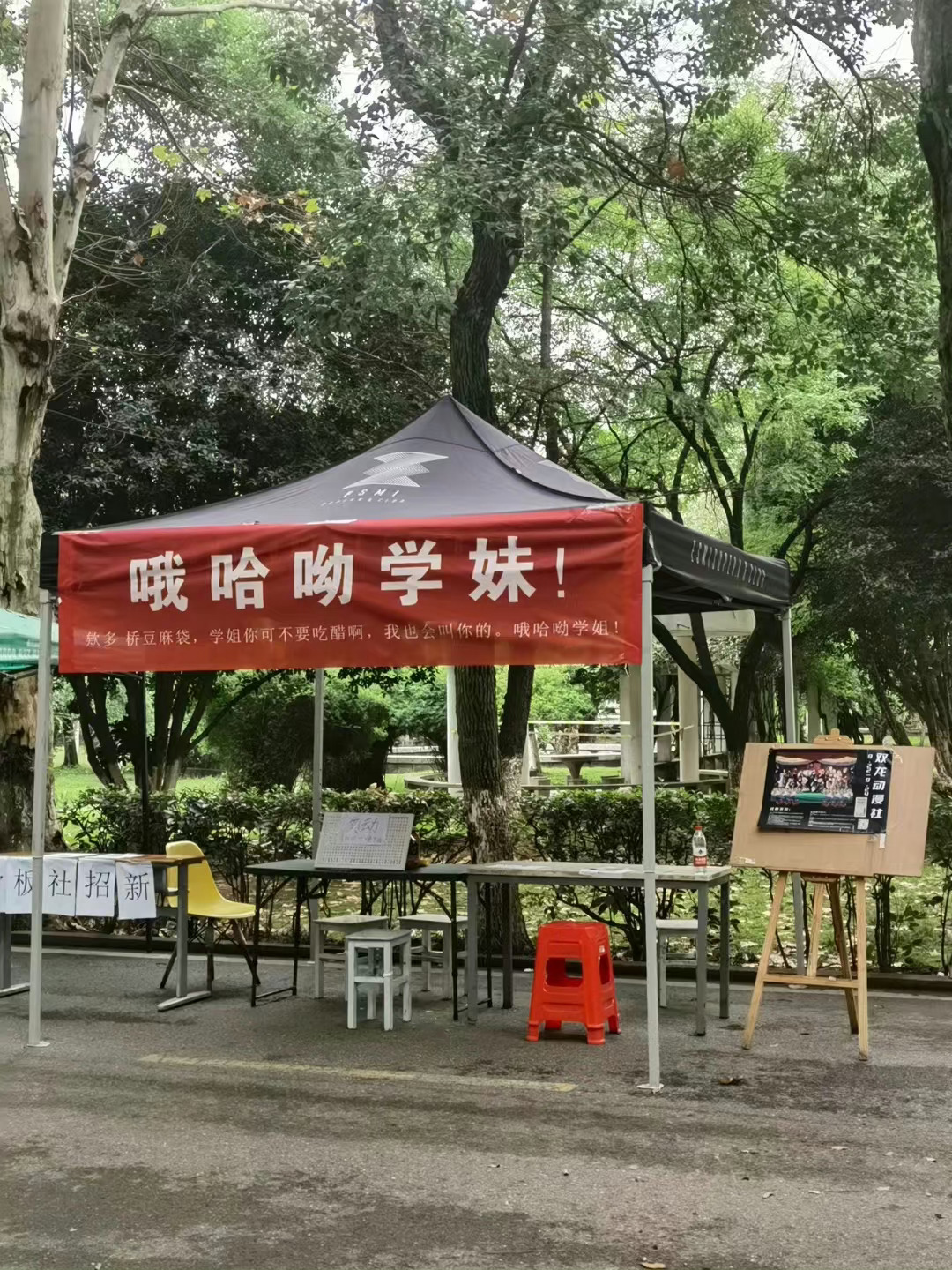 大学社团招新的显眼包 ​​​