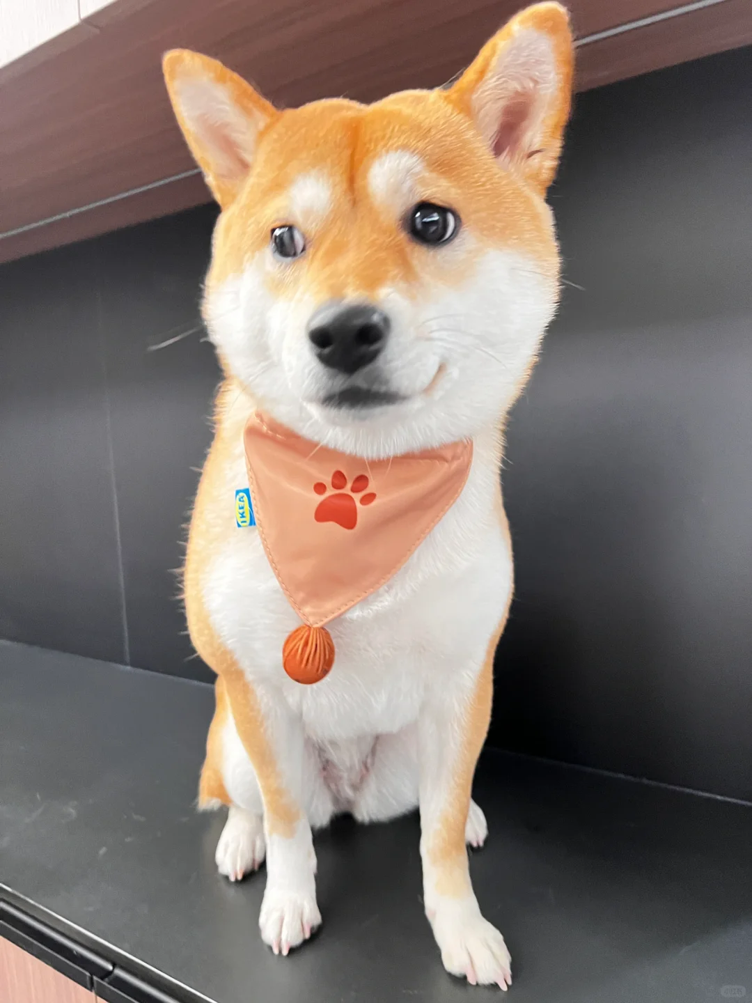 🇸🇪咩的小口水巾摆拍📸