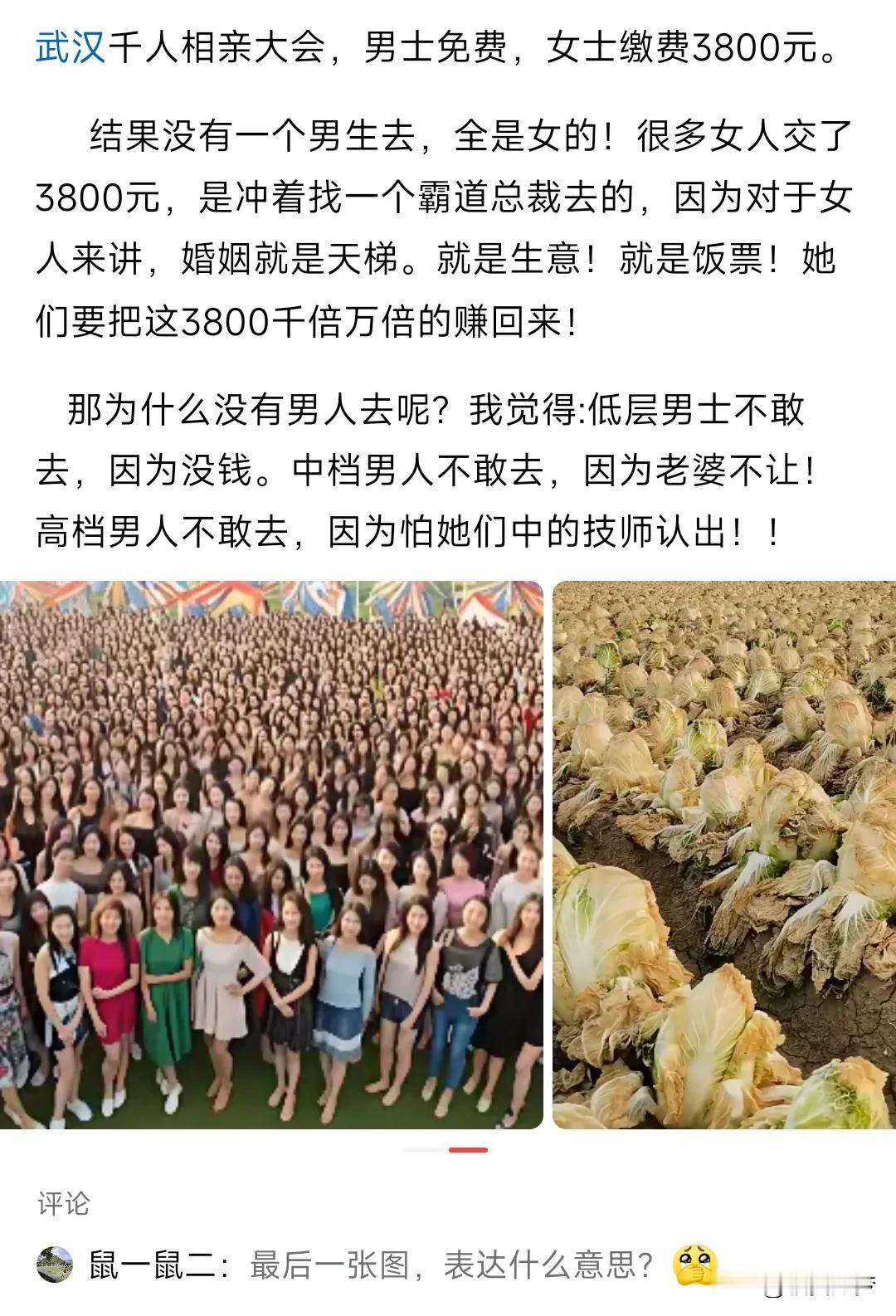 霸道总裁需要去相亲公园吗？想啥呢？
我国的确男多女少，但是具备较高经济实力的优质