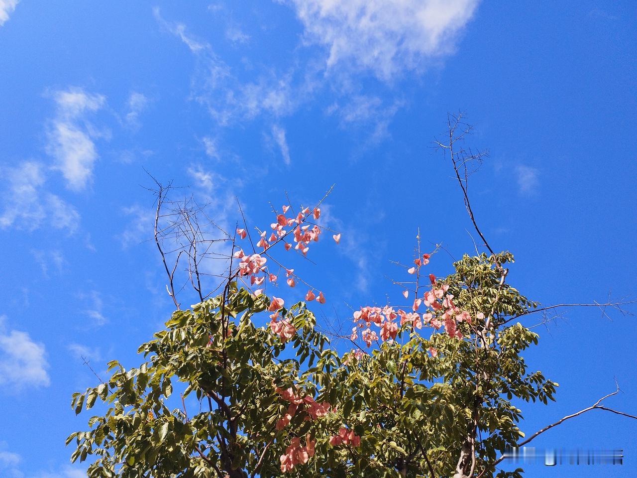 长假第四天，天气不错，天气的好坏在于天，心情的好坏在于人，我们不能掌控天气，但是