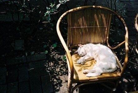 想把关于夏天美好的日子过得慢一点生活手记