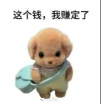 第一批五一寄养钱的人出现了五一我的猫需要寄养 