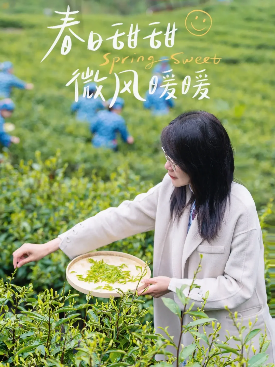春日等风来，到水磨古镇品一杯清明春茶