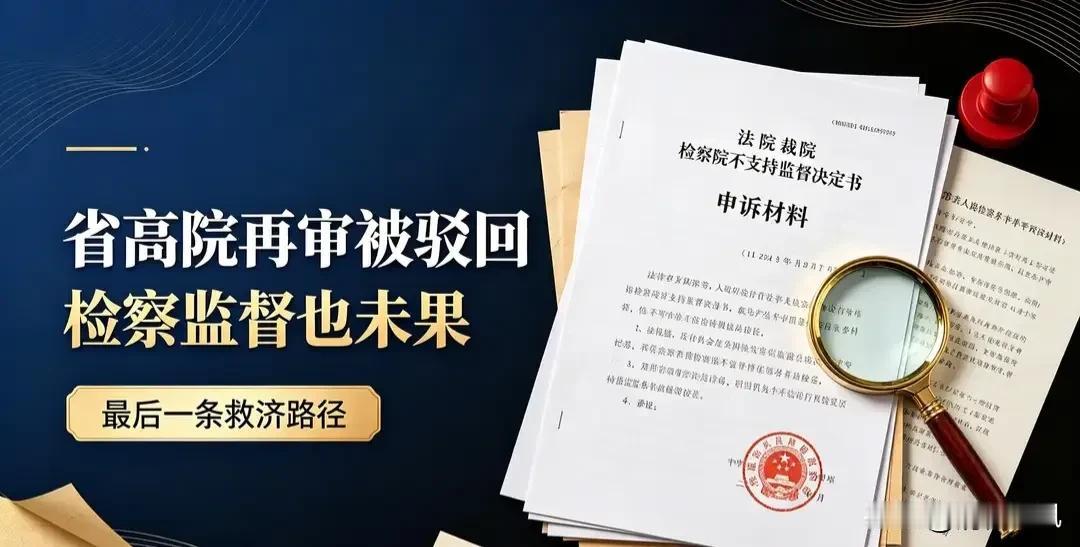 再审驳回、抗诉未支持，还有哪些渠道重启纠错？

很多当事人走完一审、二审、再审申