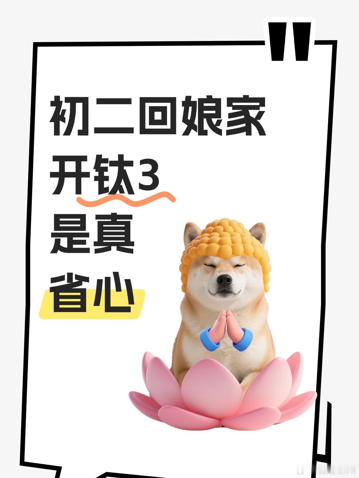 女生都去学开车！！！往年回个家是真不方便，距离不远不近，每次只能坐hei车大包小