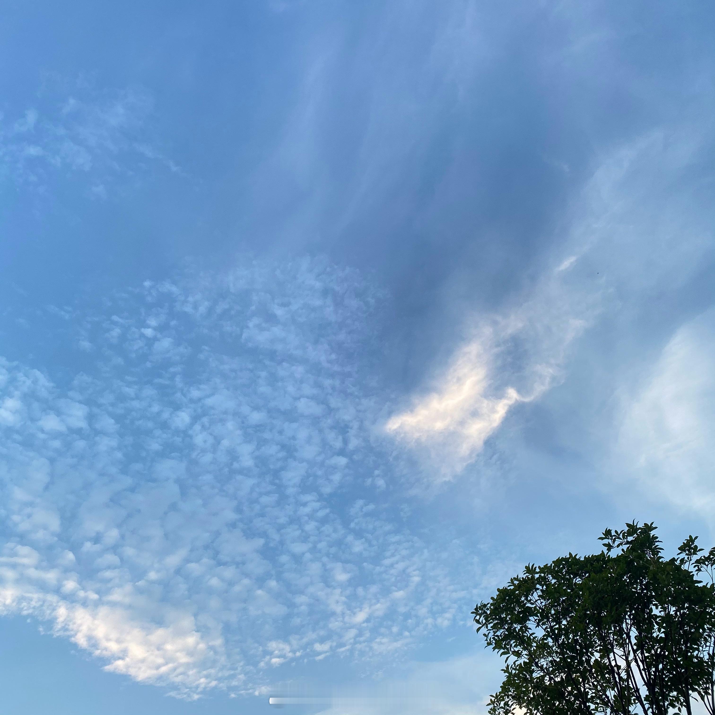 这个季节的天空好美 