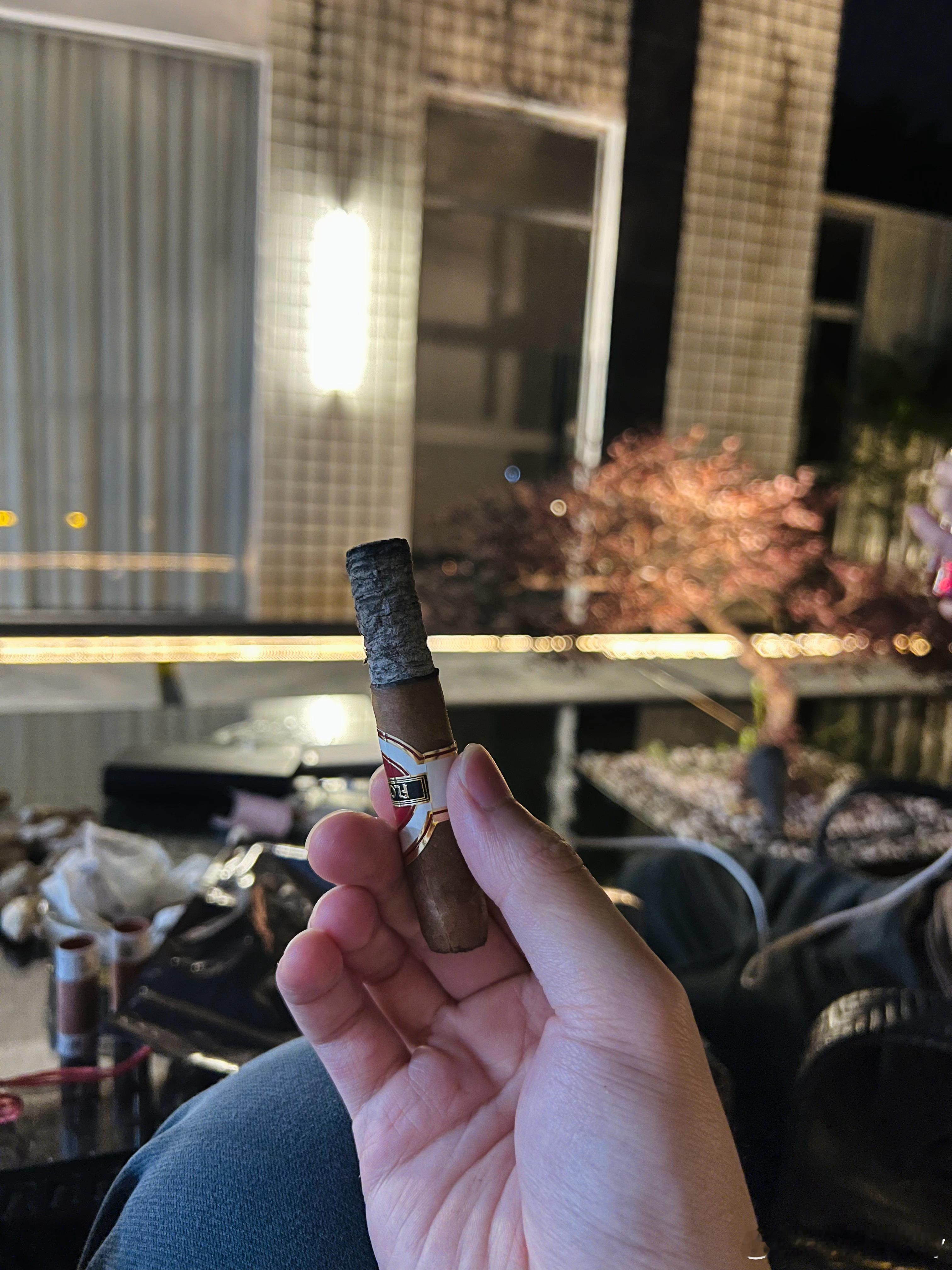 今晚小小根来一口 肇庆·砚阳湖景区