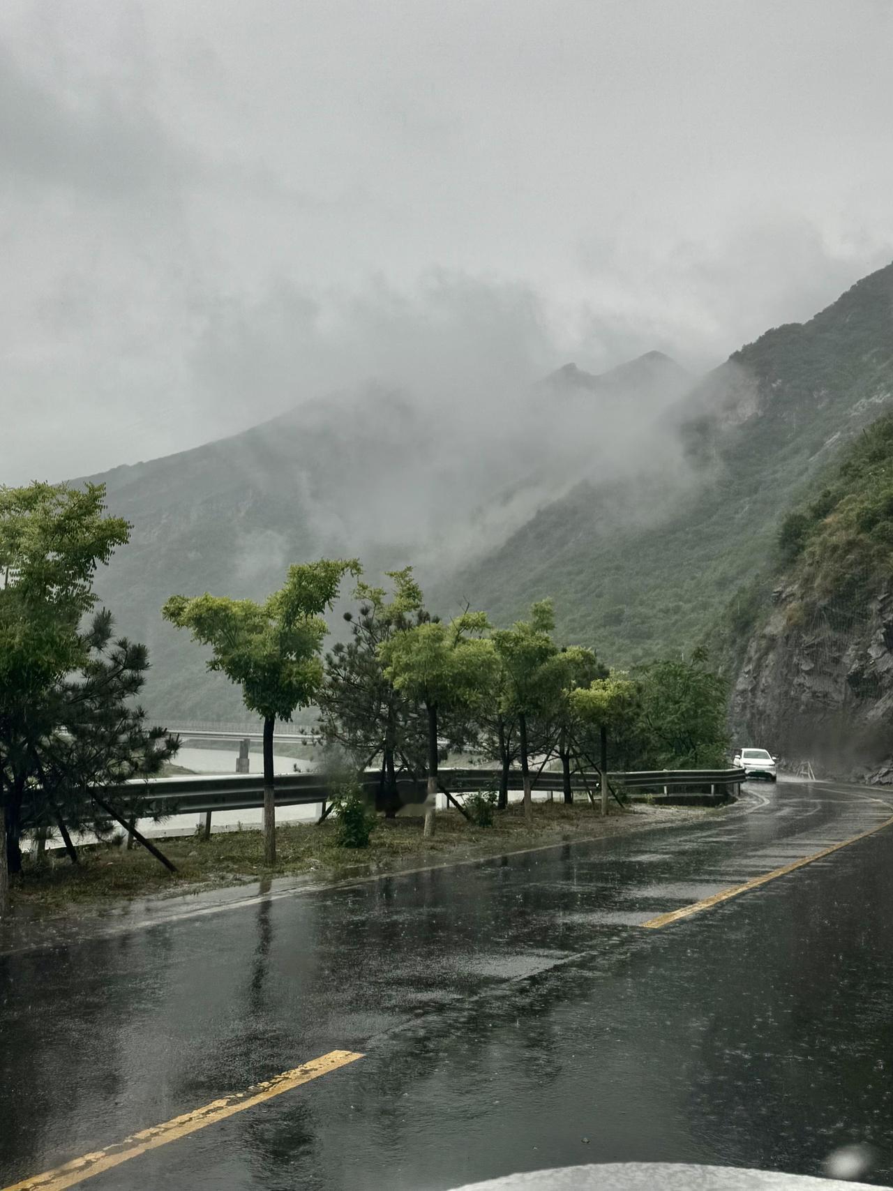 我站在七月的雨里
看滚烫的蝉鸣随流水远去

我在等雨霁
晚霞会带来八月的消息
风