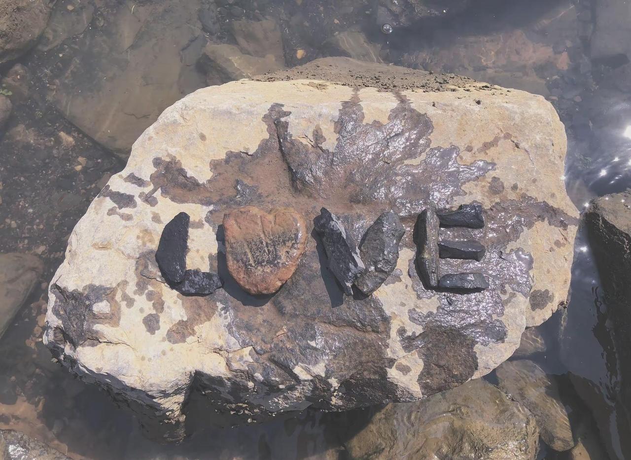 我想了解你。想了解你的温度想了解你的MBIT想了解你的所有顺便支付密码也发下呗跟