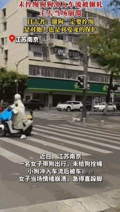 5月4日报道，江苏南京街头一女子外出遛宠物犬，全程没有使用牵引绳约束狗狗行动，任