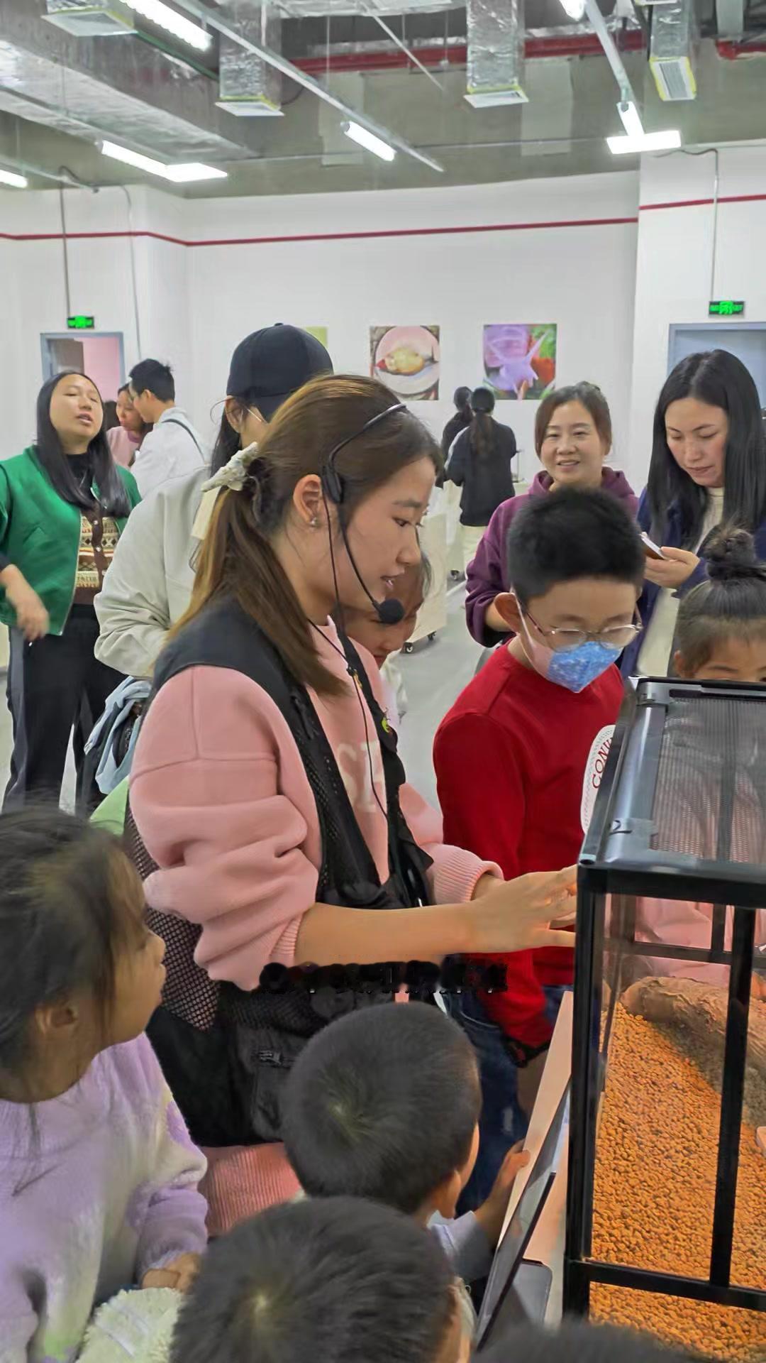 🐜江津双福吾悦广场藏了家昆虫博物馆，带娃逛完根本不想走！馆内展示全球五大洲近2