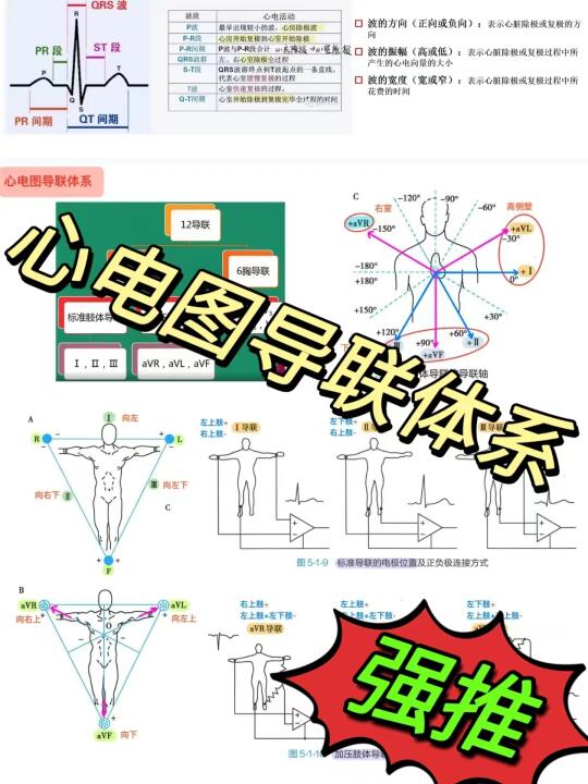 心电图导联体系🔥！！