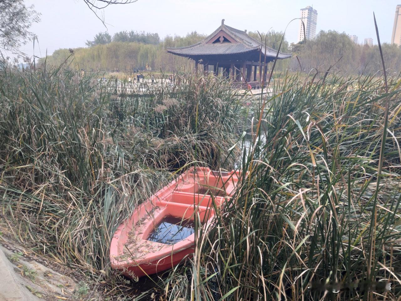 大爷被“骚扰”几近崩溃了:今天上午在街头游荡，前边一位正走着的老先生口袋里的手机